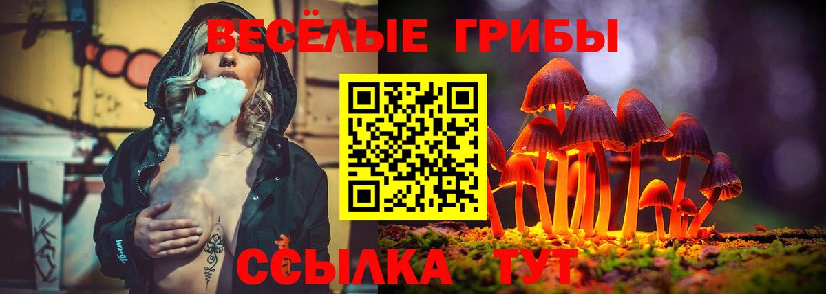 Ишимбай  Псилоцибиновые грибы прущие грибы  Псилоцибиновые грибы мухоморы  Вход с VPN 